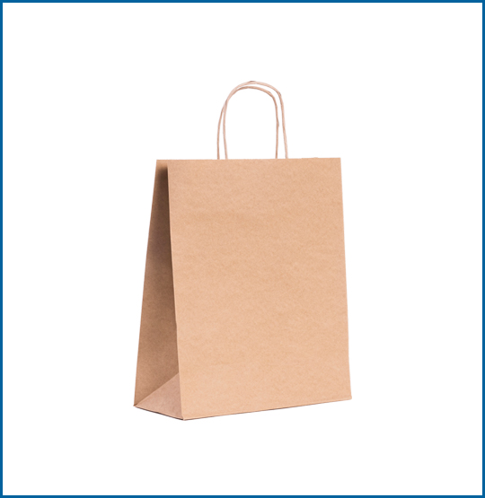 Burgu Sap Kağıt Çanta	